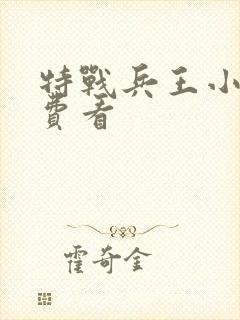 特战兵王小说免费看