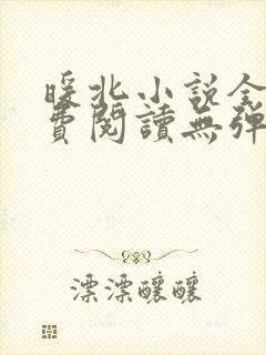 暖北小说全文免费阅读无弹窗