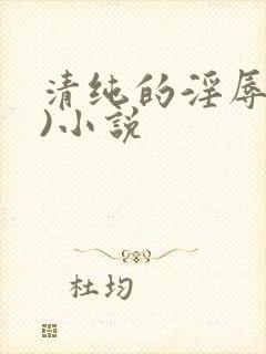 清纯的淫辱(h)小说