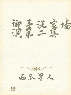 御手洗家墙壁破洞第二集