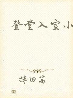 登堂入室小说