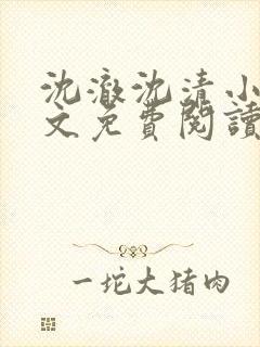 沈澈沈清小说全文免费阅读最新章节封面