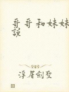 哥哥和妹妹的小说封面