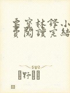 粟宝林锋小说免费阅读完结笔趣阁