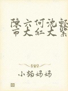 陈六何沈轻舞都市大红大紫