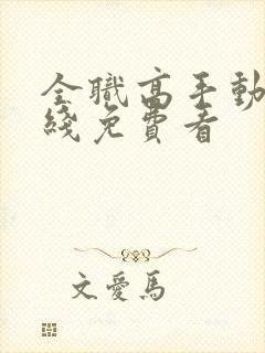 全职高手动漫在线免费看