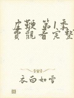 皮鞭 第1季免费观看完整版在线全集封面