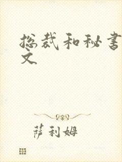 总裁和秘书po文封面