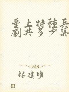 爱上特种兵电视剧共多少集封面