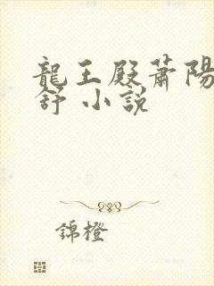 龙王殿萧阳叶云舒 小说