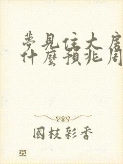 梦见住大房子是什么预兆周公解梦