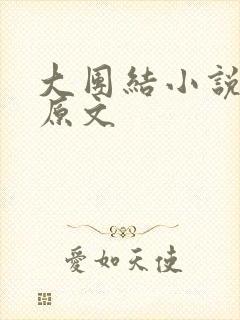 大团结小说阅读原文封面