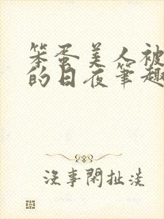 笨蛋美人被疼爱的日夜笔趣阁全文阅