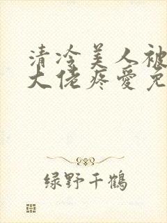 清冷美人被阴鸷大佬疼爱免费阅读全文