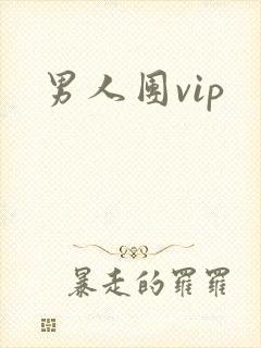 男人团vip