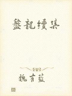 盘龙续集