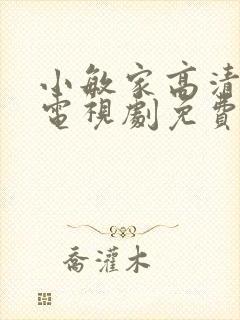 小敏家高清在线电视剧免费观看全集