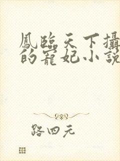 凤临天下摄政王的宠妃小说