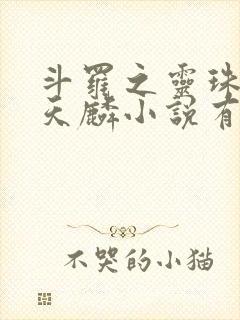 斗罗之灵珠神剑天麟小说有声听书免费