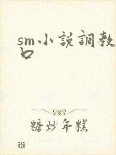sm小说调教重口封面
