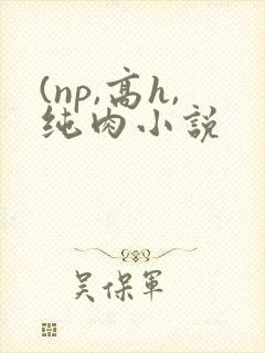 (np,高h,纯肉小说封面