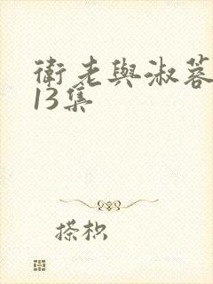 卫老与淑蓉1一13集