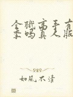 全职高手有第二季吗真人版