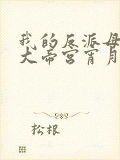 我的反派母亲是大帝宫宵月