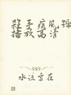 杀手疾风号在线播放高清