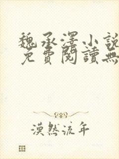 魏承泽小说全文免费阅读无弹窗笔趣