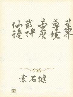 仙武帝尊叶辰最后什么境界