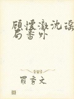 顾怀澈沈瑶大结局番外