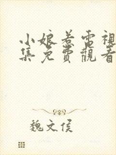 小娘惹电视剧全集免费观看