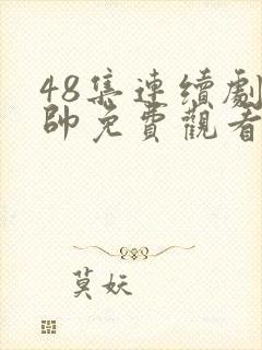 48集连续剧少帅免费观看高清封面