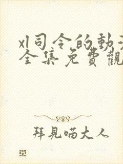 xl司令的动漫全集免费观看