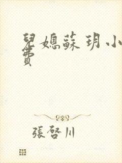 儿媳苏玥小说免费封面