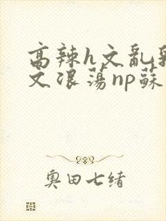 高辣h文乱乳h文浪荡np苏夏