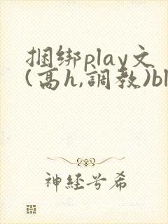 捆绑play文(高h,调教)bl