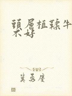 头层植鞣牛皮好不好