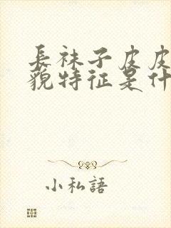 长袜子皮皮的外貌特征是什么封面