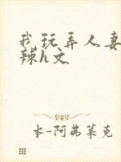 我玩弄人妻系列辣h文封面