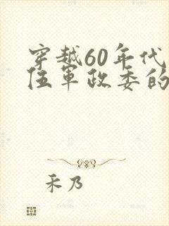 穿越60年代退伍军政委的小说