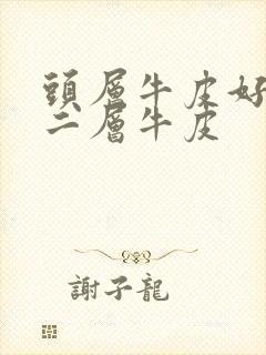 头层牛皮好还是二层牛皮