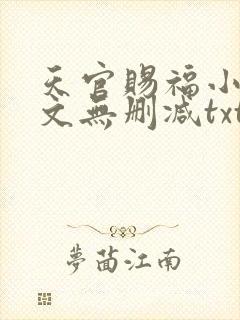 天官赐福小说全文无删减txt下载