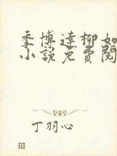 季博达柳如烟的小说免费阅读封面