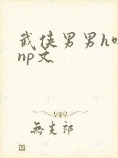 武侠男男h啪肉np文