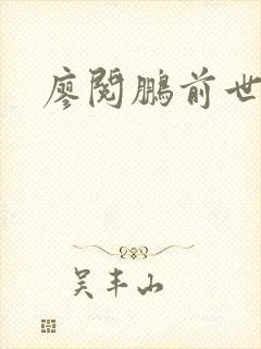 廖阅鹏前世今生封面