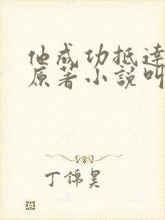 他成功抵达花心原著小说叫什么