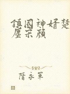 镇国神婿楚尘楚尘宋颜