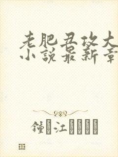 老肥丑攻大合集小说最新章节更新完